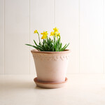 Terracotta Noble Planter - blush 9.8 inches