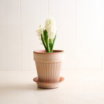 Terracotta Pearl Planter - blush 6.3 inches