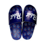 Pabst Pabst Slides