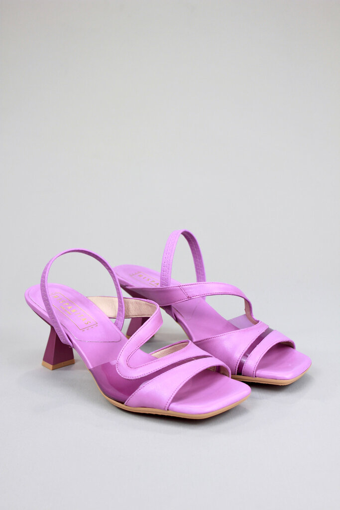 Hispanitas Danielle HV243402