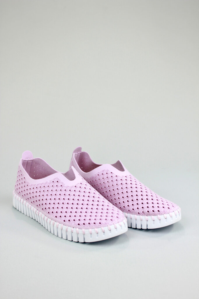 Ilse Jacobsen Tulip 139