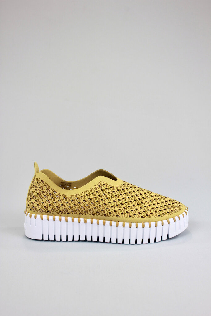 Ilse Jacobsen Tulip 3373