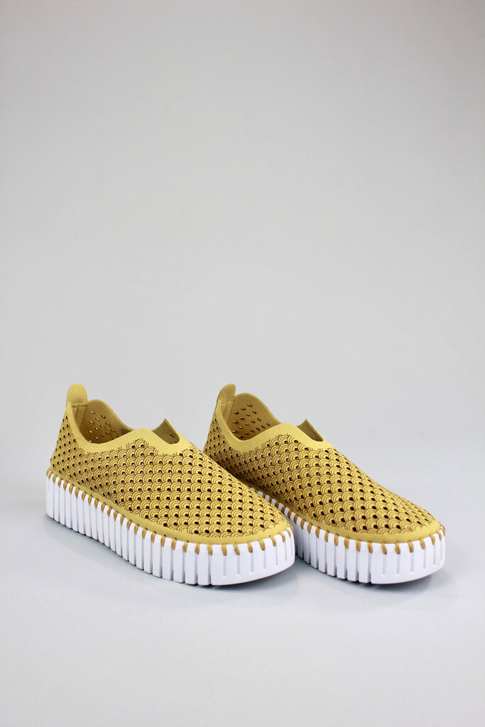 Ilse Jacobsen Tulip 3373