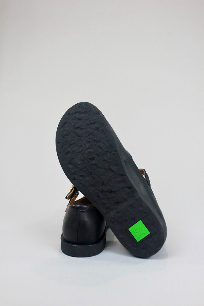 El Naturalista Arenisca N5873