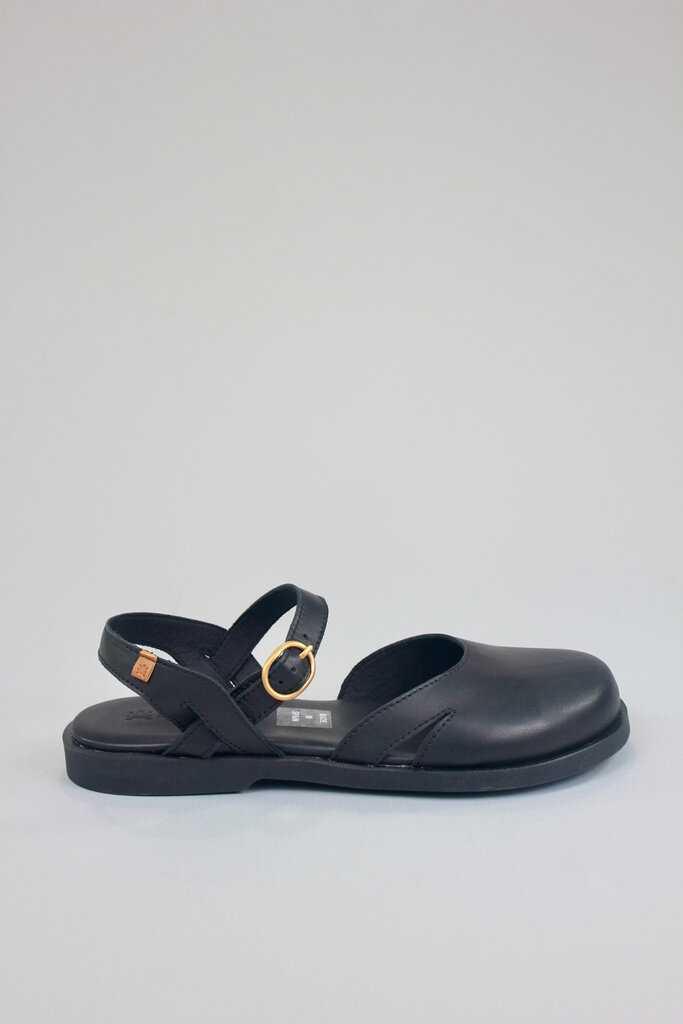 El Naturalista Arenisca N5874