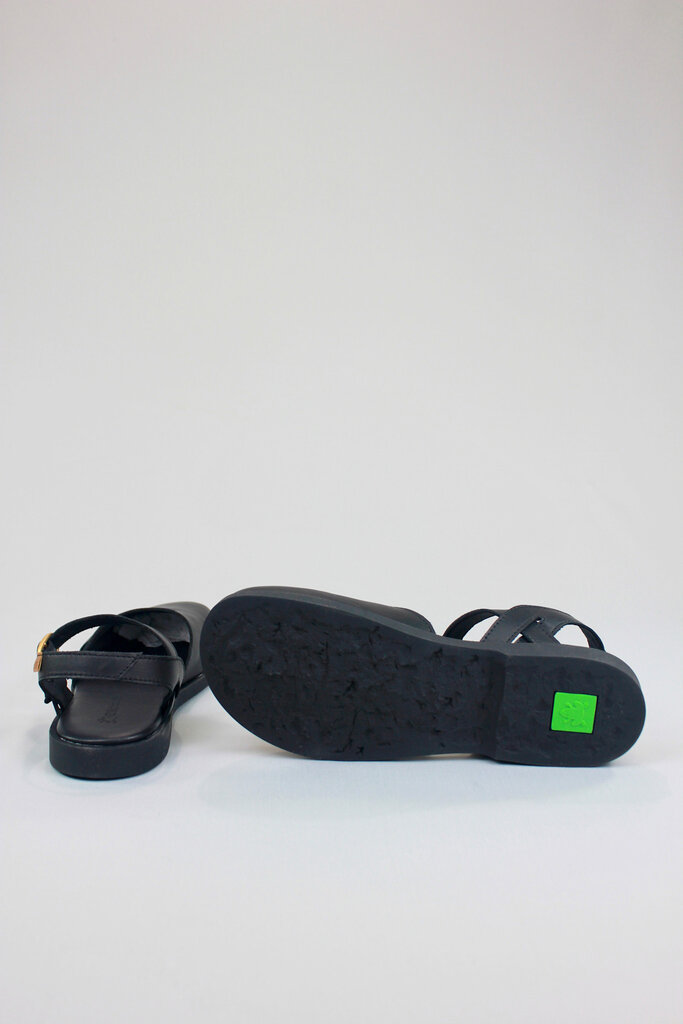 El Naturalista Arenisca N5874