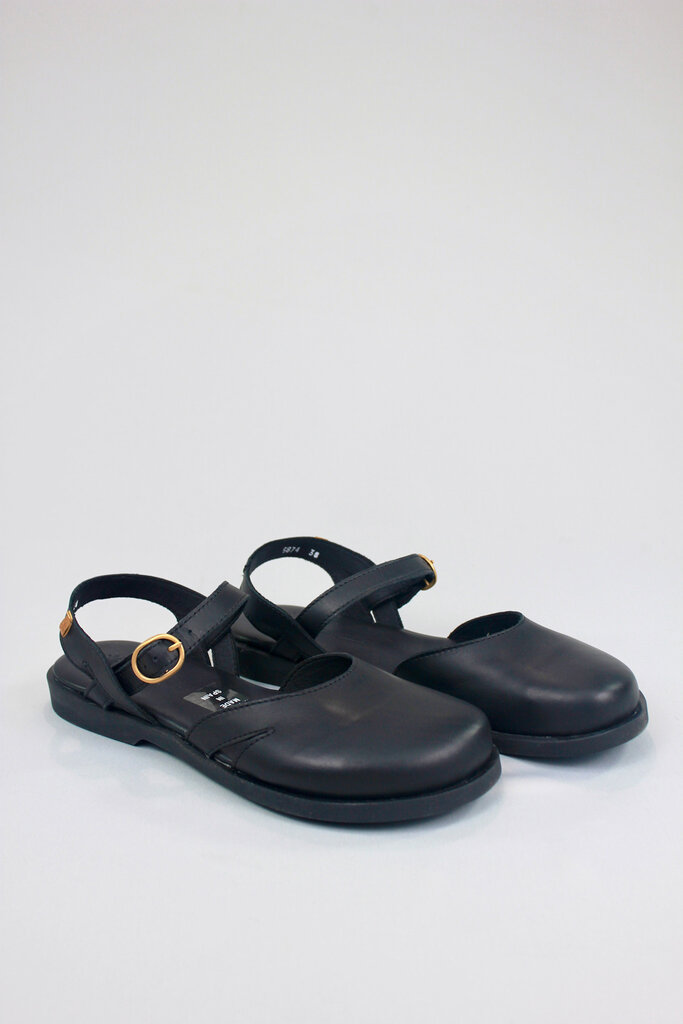 El Naturalista Arenisca N5874