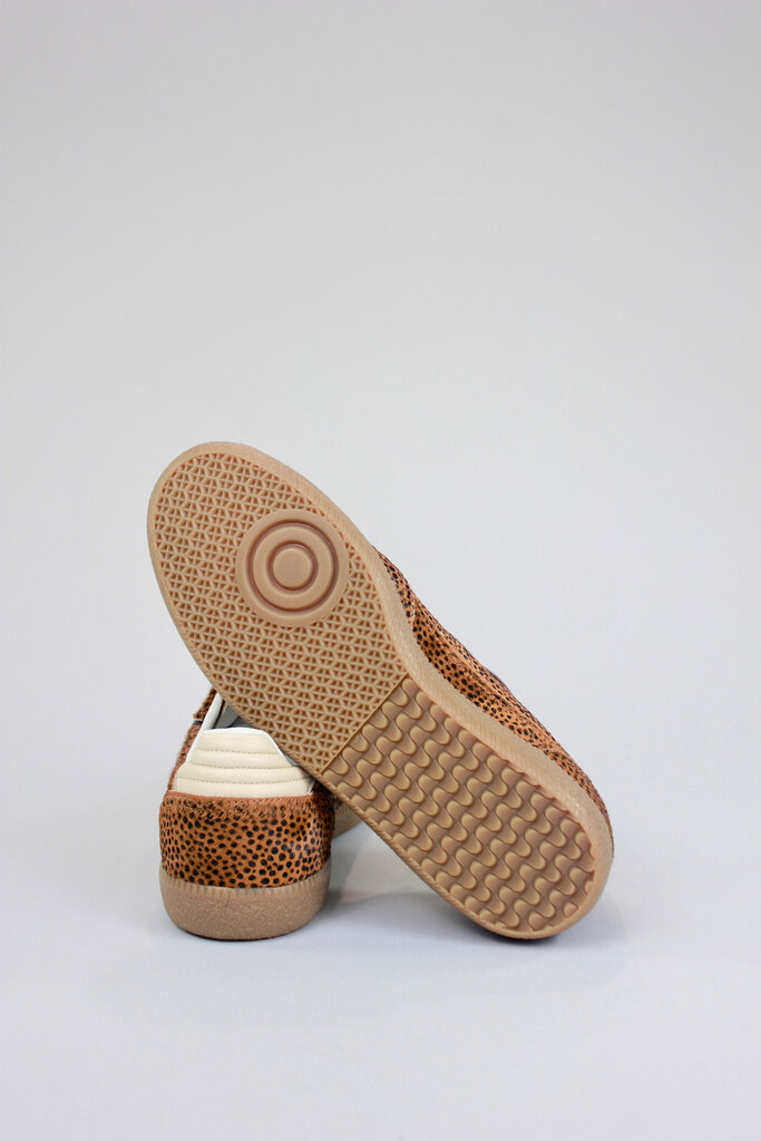 ALOHAS Tb. 490 Rife