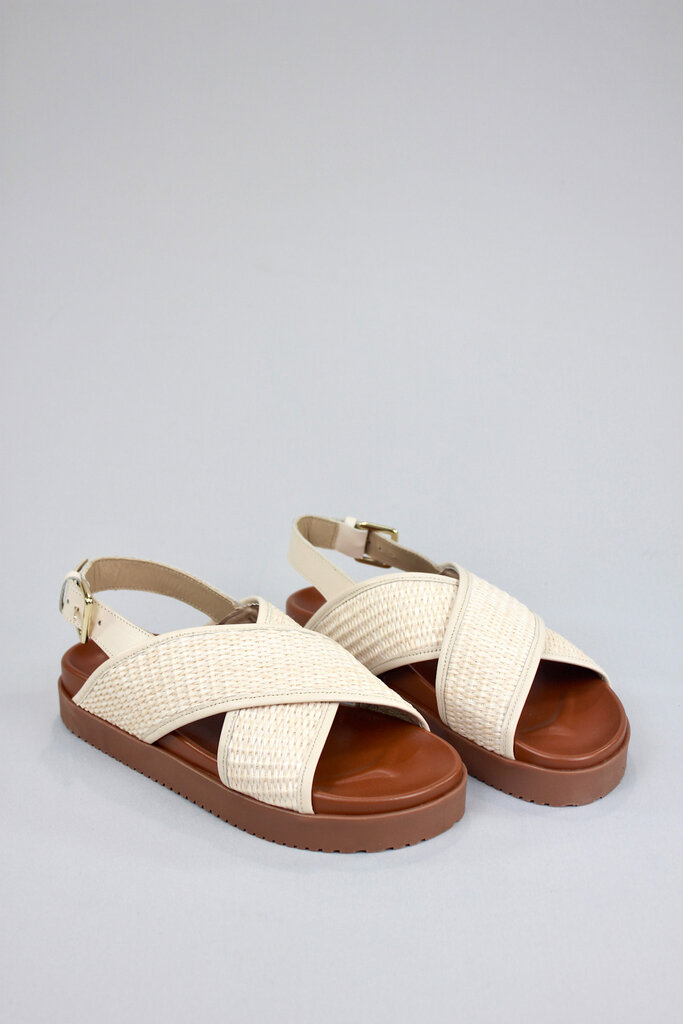 Sister x Soeur Amari