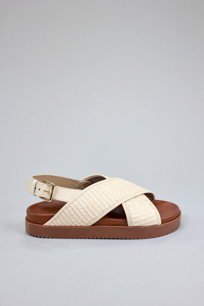 Sister x Soeur Amari