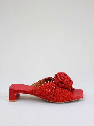 Angel Alarcon Benedicte 25086