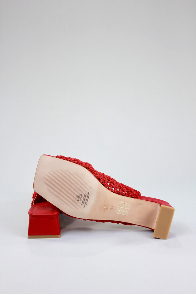 Angel Alarcon Benedicte 25086