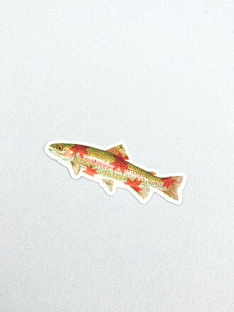 Artbaby & Co. Rainbow Trout Starry Fish Sticker