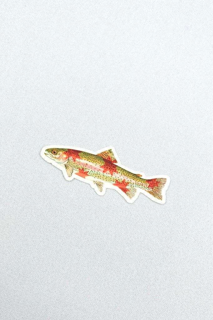 Artbaby & Co. Rainbow Trout Starry Fish Sticker