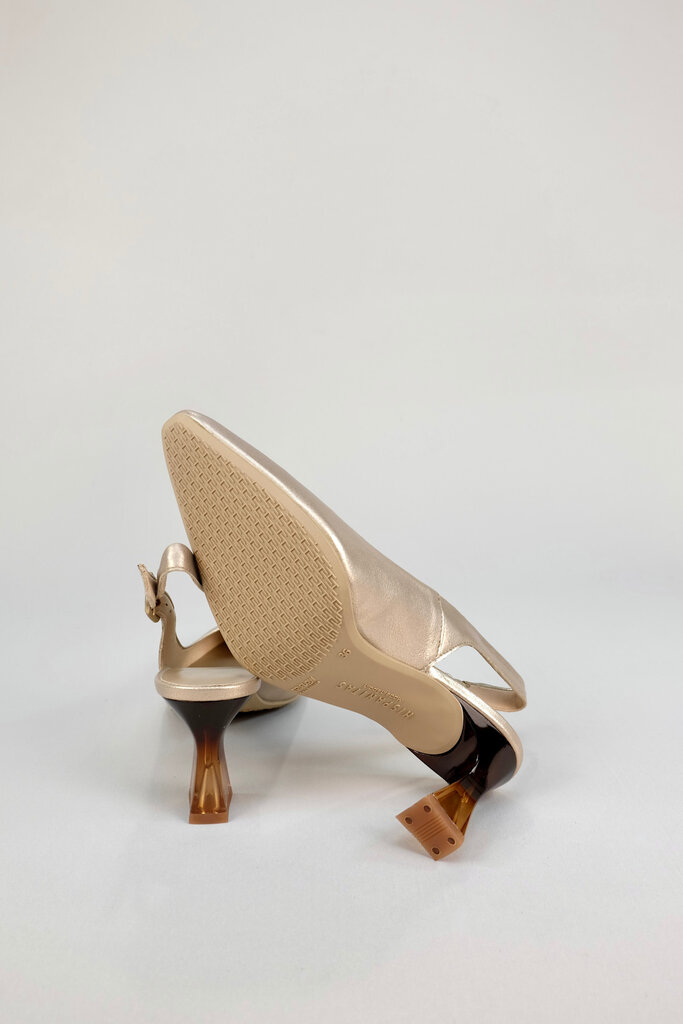 Hispanitas Dalia HV262841