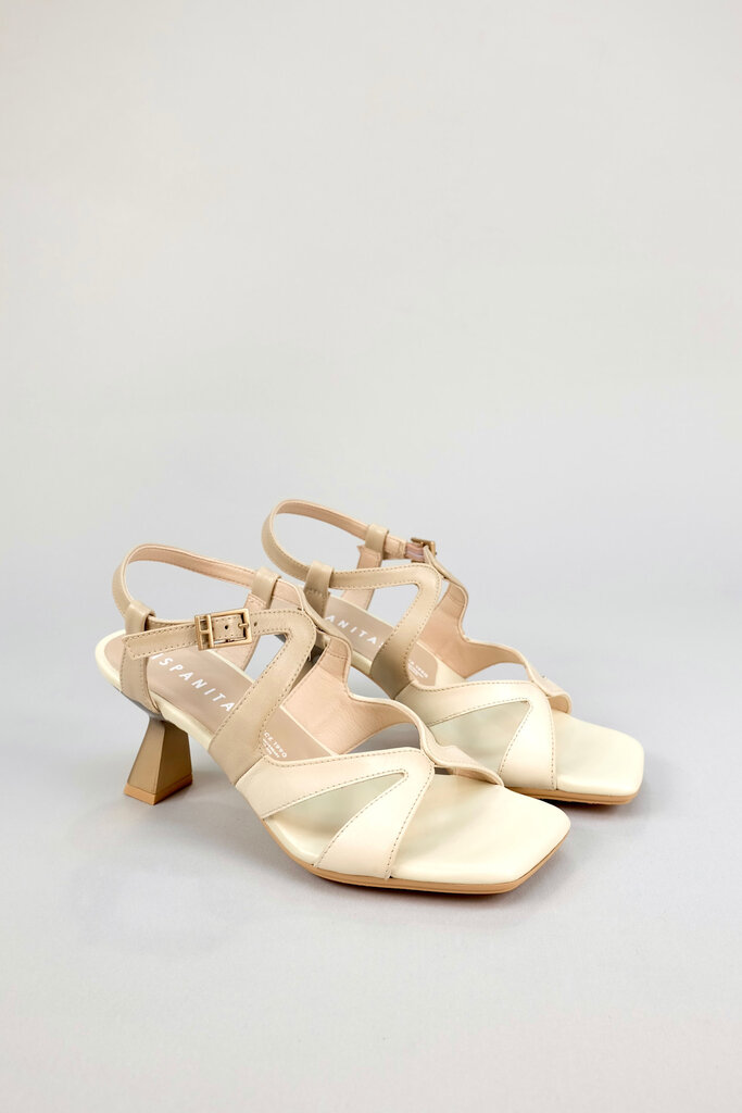 Hispanitas Danielle HV263879