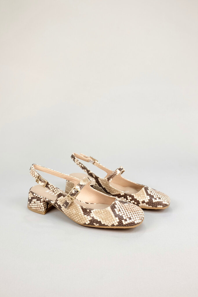 Hispanitas Oporto HV263818