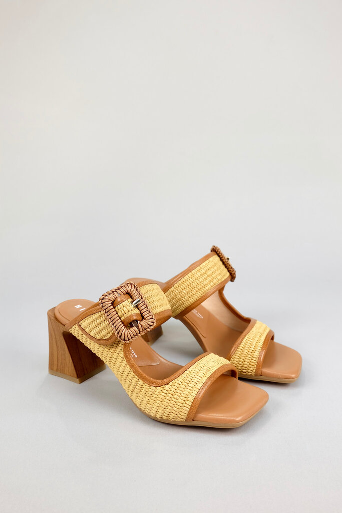 Hispanitas Miami RHV264048