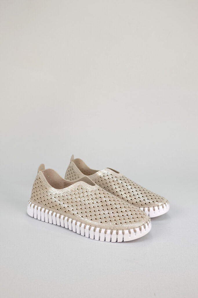 Ilse Jacobsen Tulip 3223