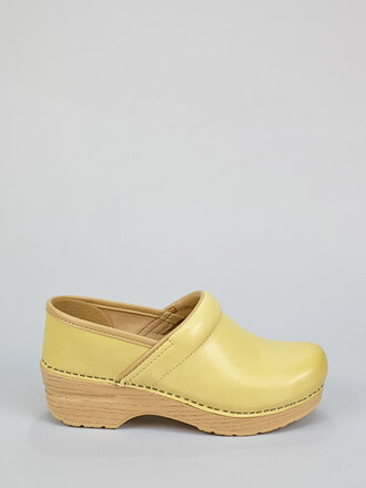 Dansko Professional Clog