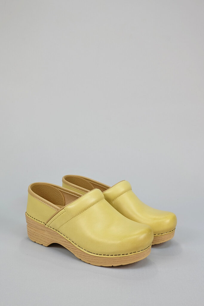 Dansko Professional Clog