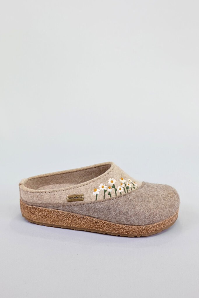 Haflinger Daisy