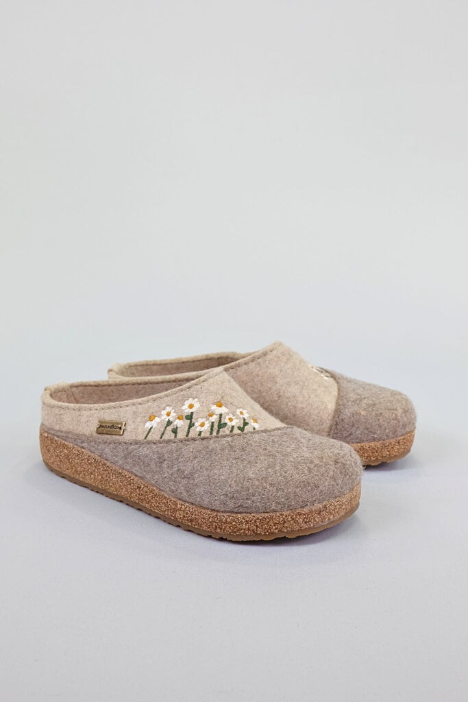 Haflinger Daisy