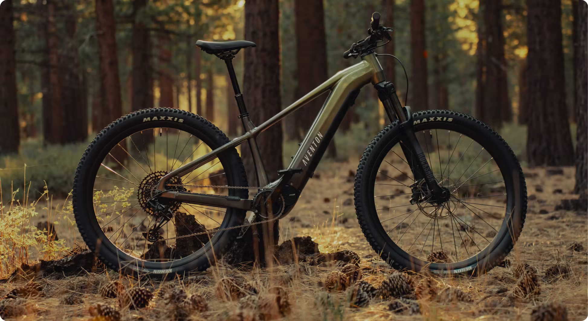 Aventon Ramblas Ebike