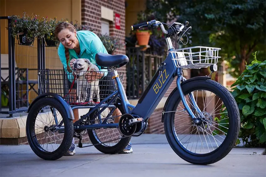 Buzz Cerana T Etrike