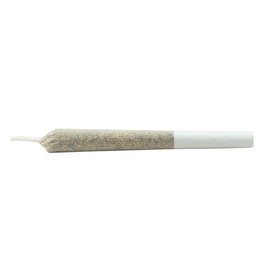 Daily Special Daily Special - Indica J's 7 pck pre-rolls