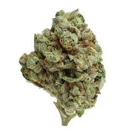 Up Cannabis Inc **UP20 - Ghost Train Haze - 3.5