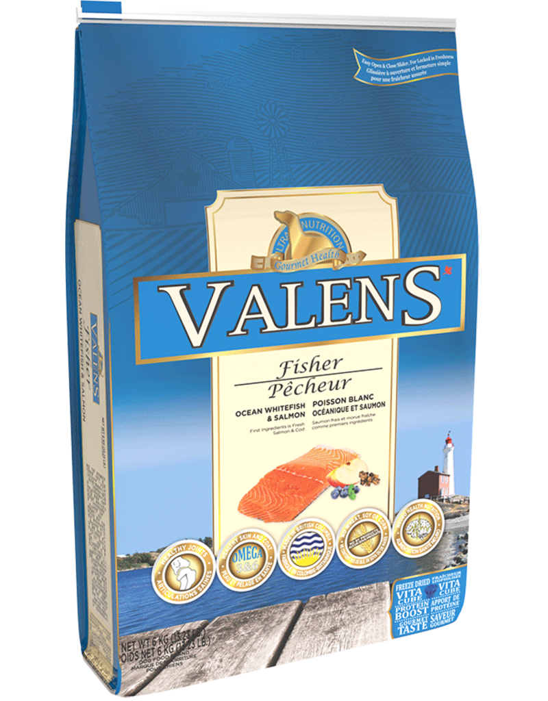 Valens VALENS - Pêcheur chien saumon & morue