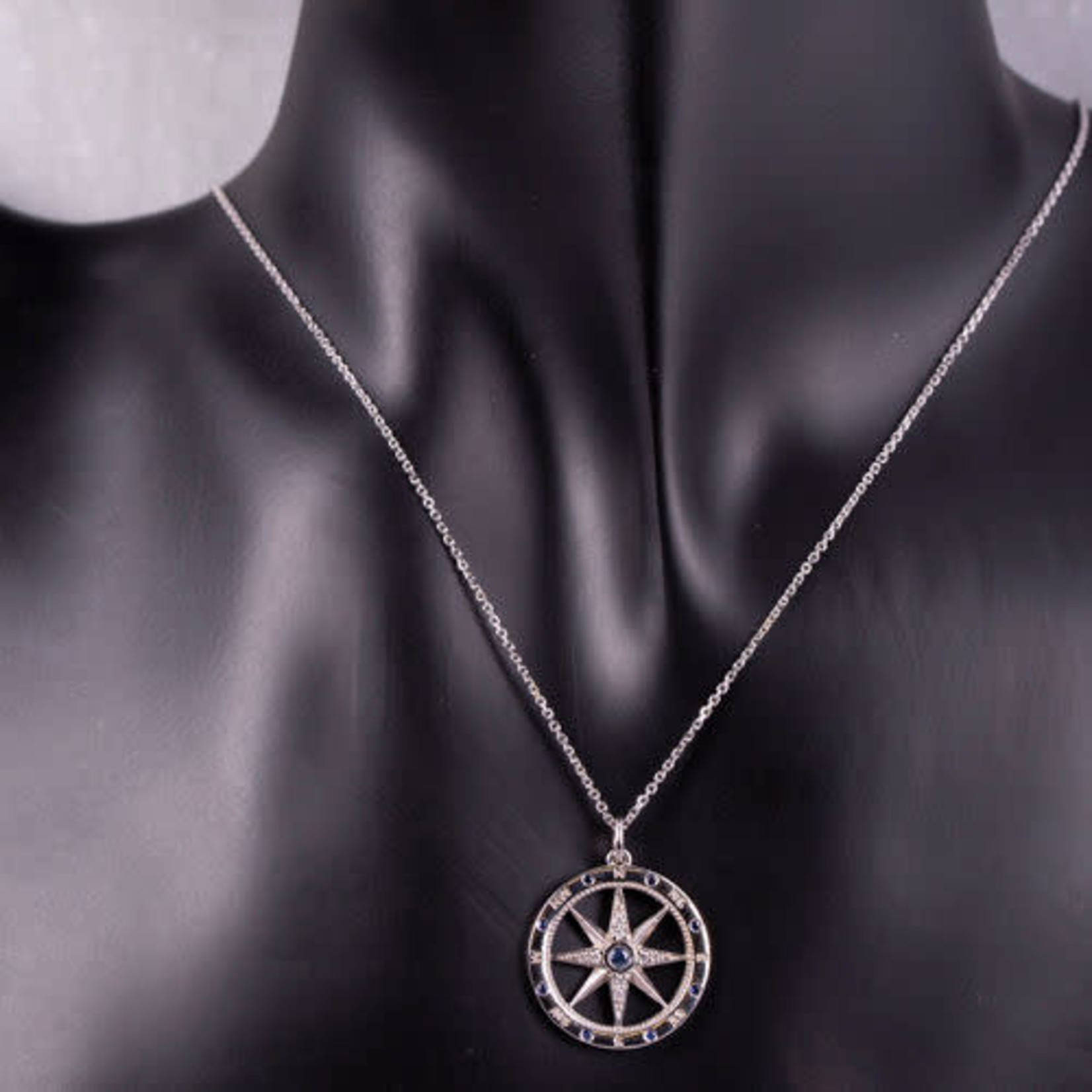 14K White Gold Sapphire & Diamond Compass Rose Pendant