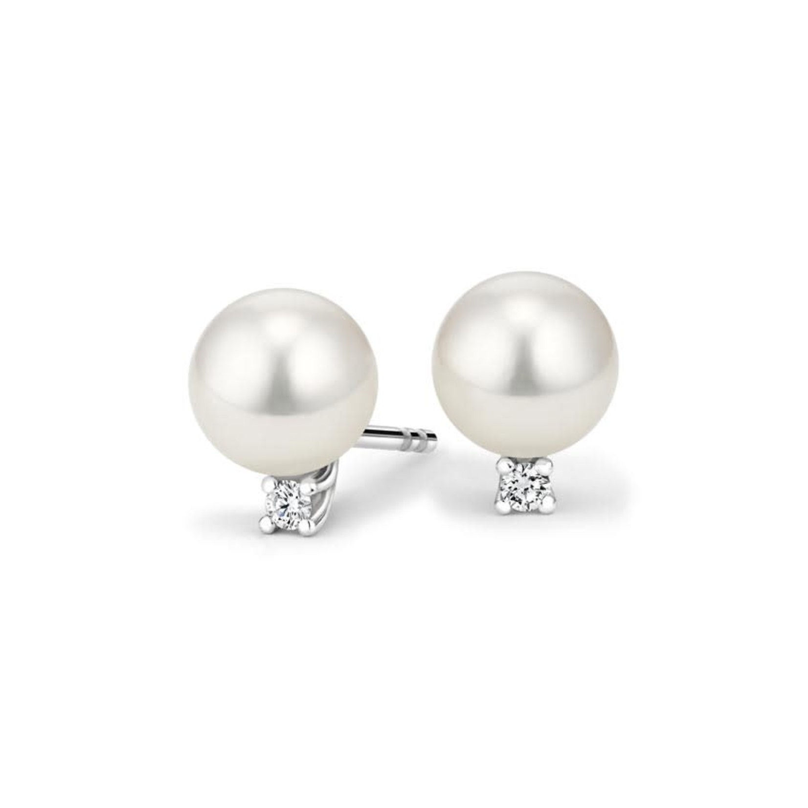 14K White Gold Akoya Cultured Pearl & Diamond Stud Earrings