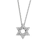 14K White Gold Petite Diamond 0.10ctw Star of David Pendant