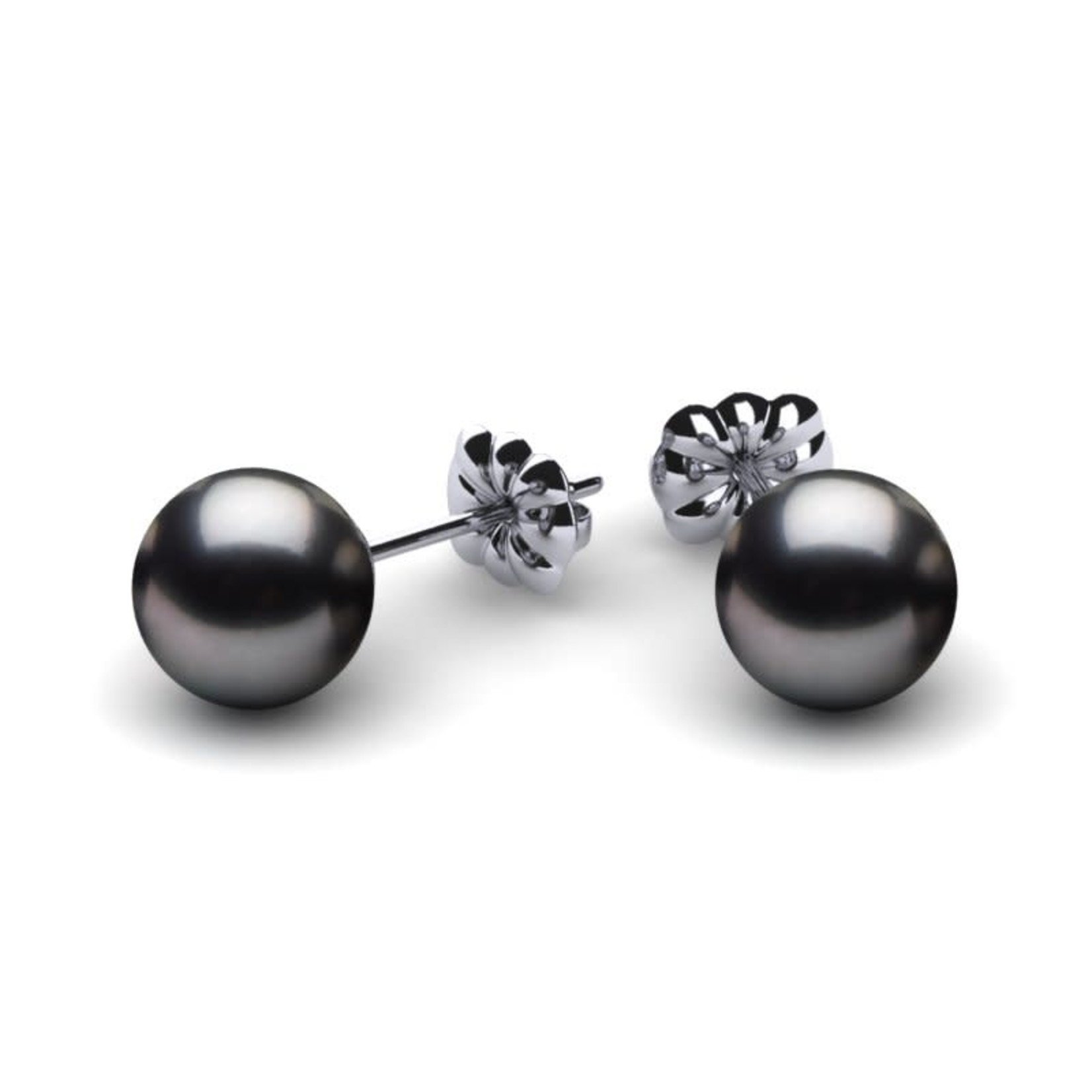 Cultured Black Pearl Studs in Sterling Silver