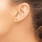 14K Yellow Gold Petite Twist Hoop Earrings