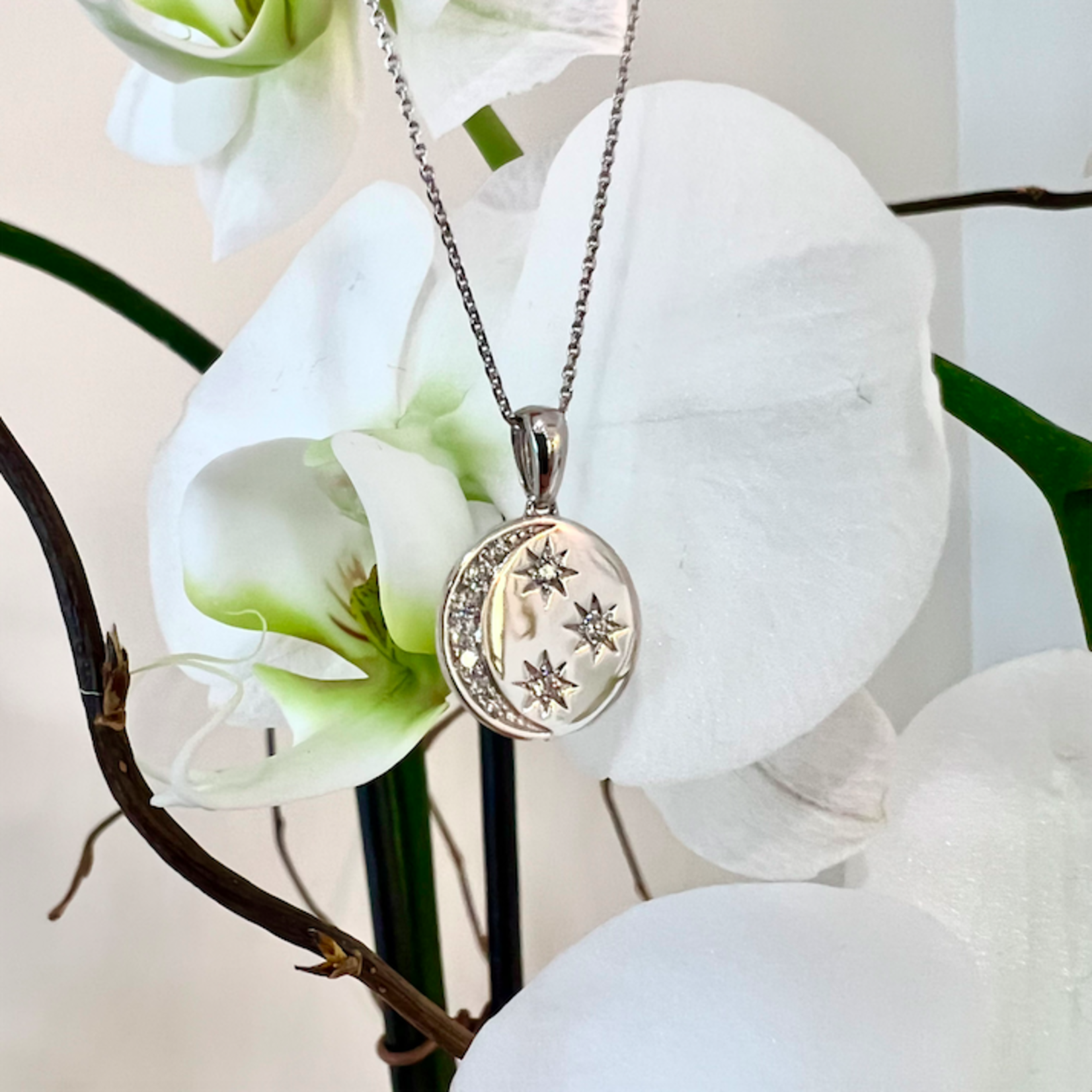 14K White Gold Diamond Moon & Stars Pendant