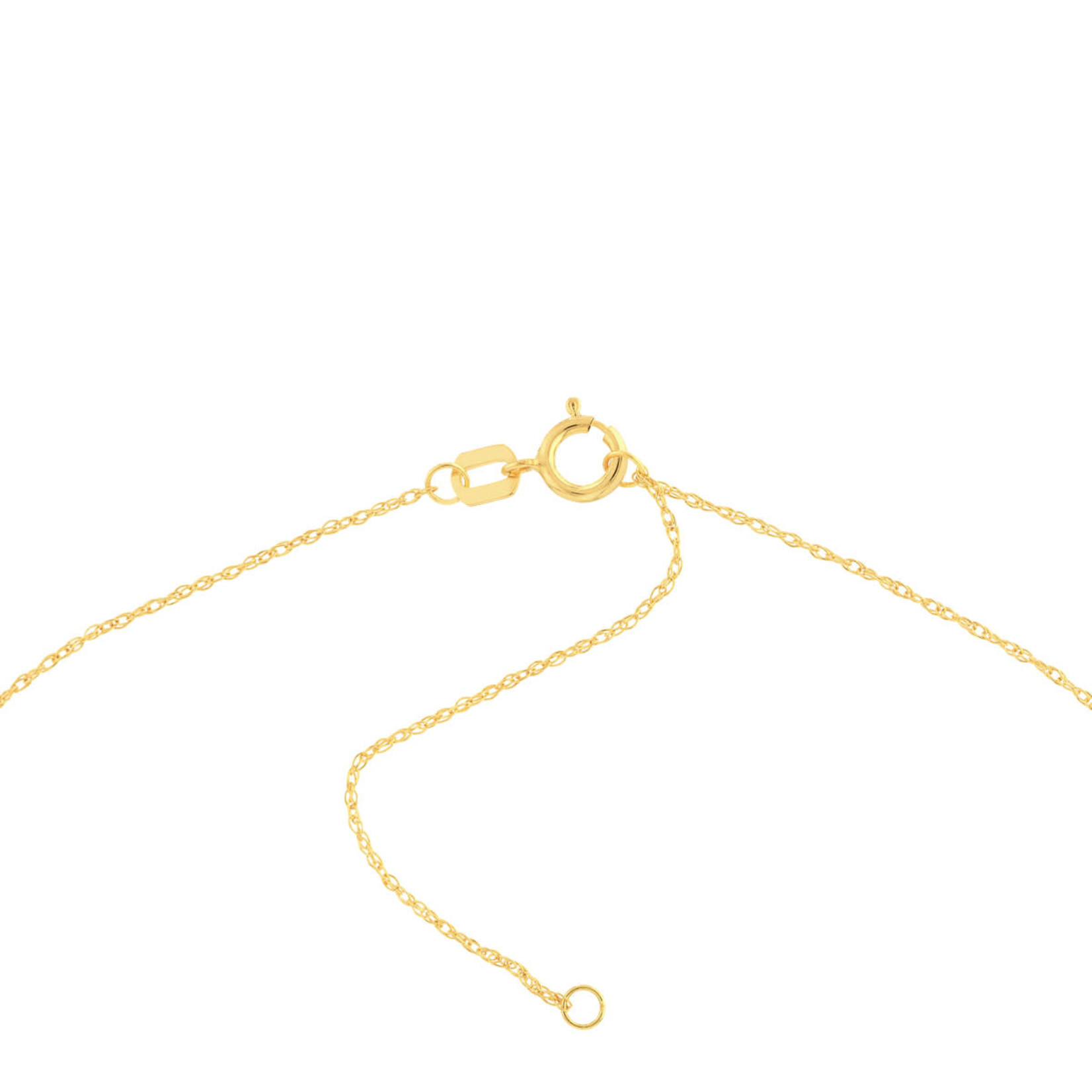 14K Yellow Gold Cutout Paw Mini Disc Pendant