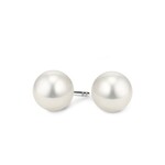 14K White Gold Akoya Cultured 6mm Pearl Studs
