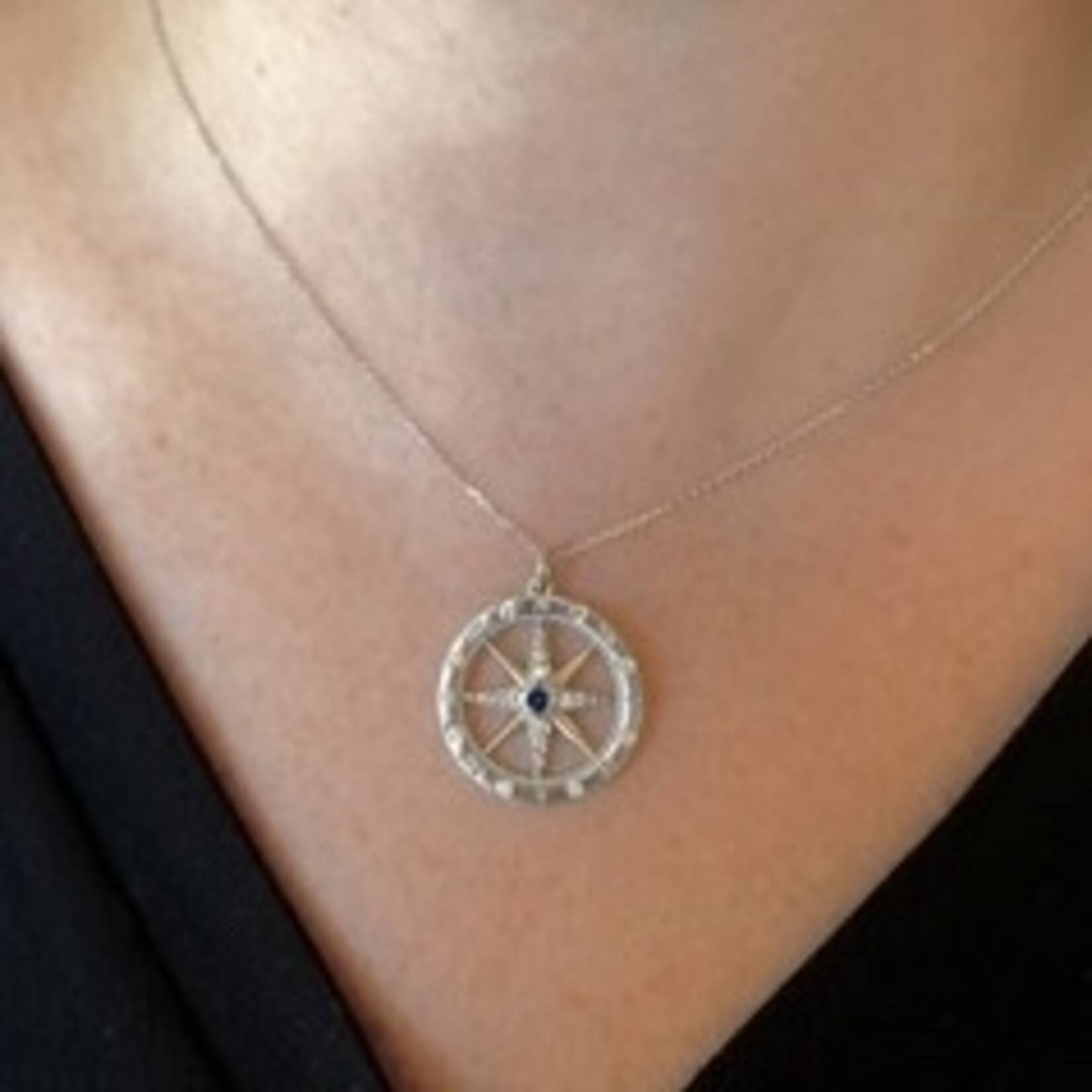 14K White Gold Sapphire & Diamond Compass Rose Pendant
