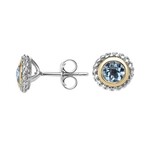 Sterling Silver & 18KY Gold Blue Topaz Stud Earrings