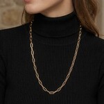 Sterling Silver & 18K Yellow Gold Overlay  Forzata Link Necklace