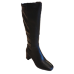 Tall boot with inside zip and 2" heel