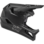FLY RACING Rayce Helmet