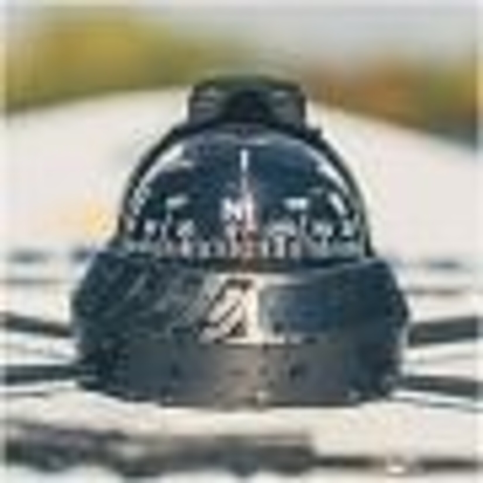 SUN Seaturtl Kayak Compass