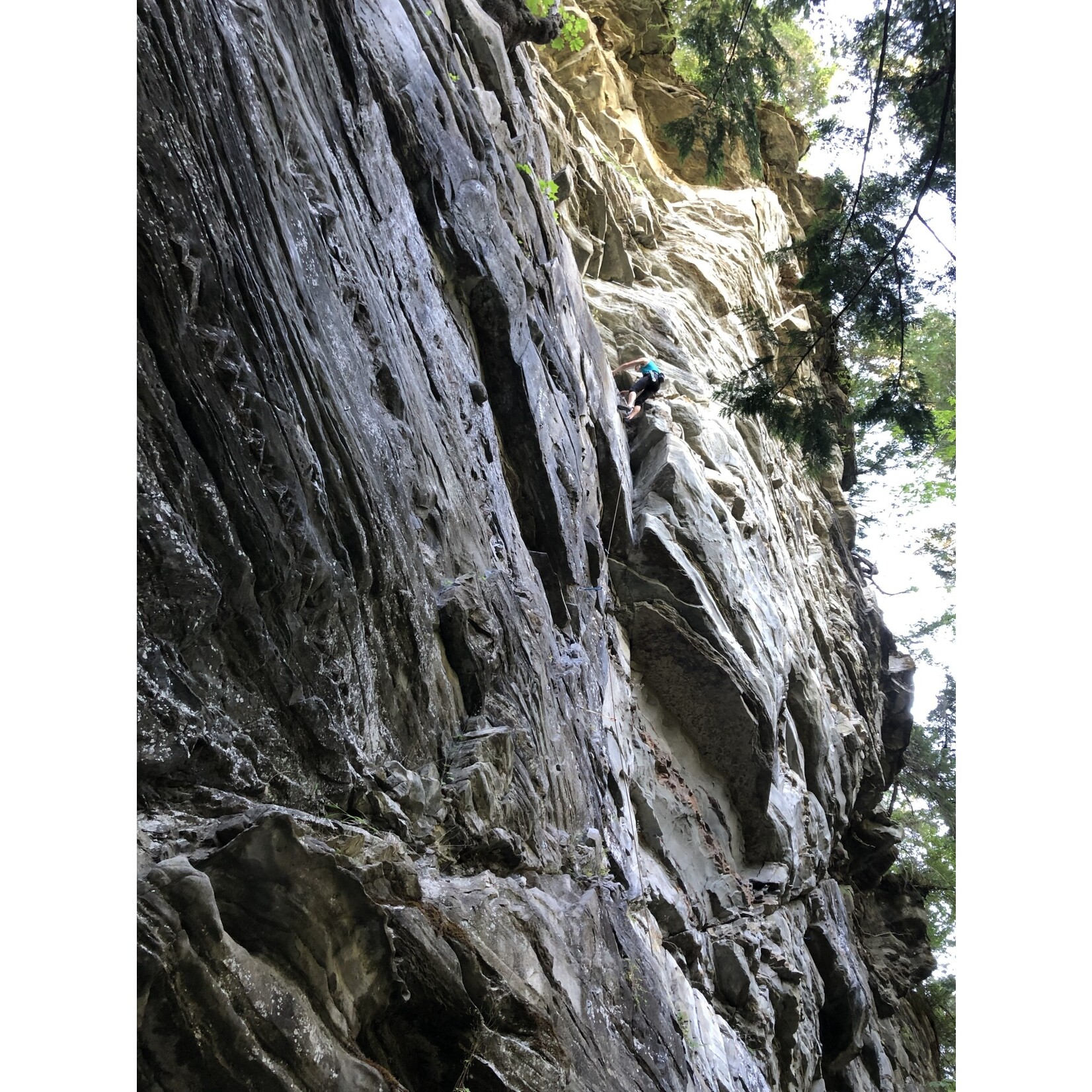 Fund A Need Elwha Climbing - Waka Beach and the Elwhall