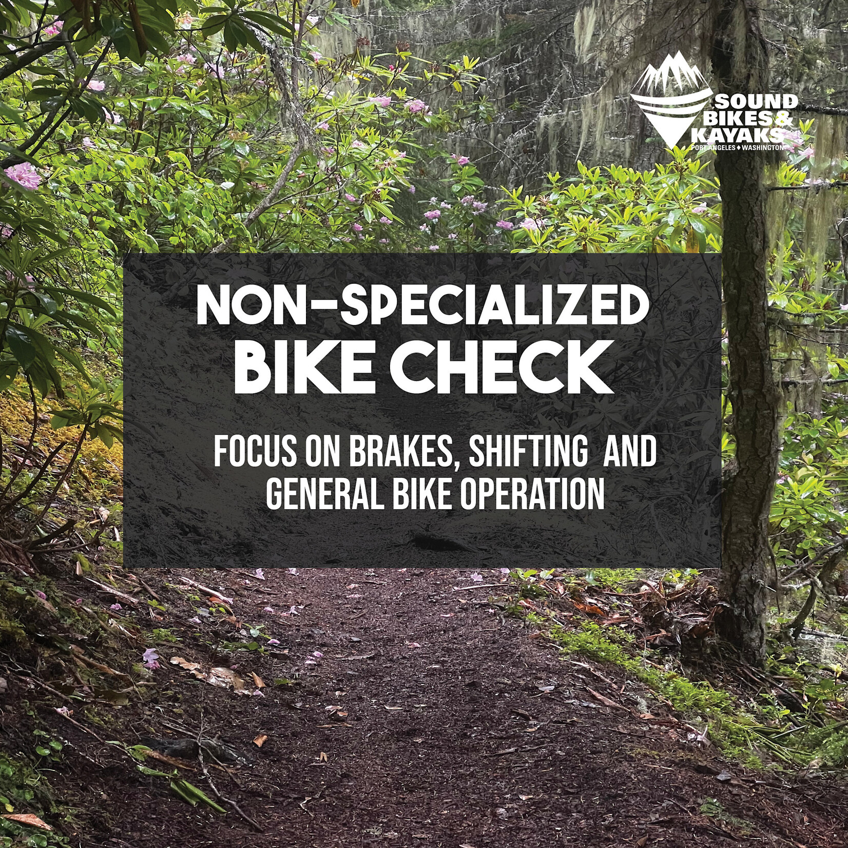 Labor: Non-Specialized Bike Check