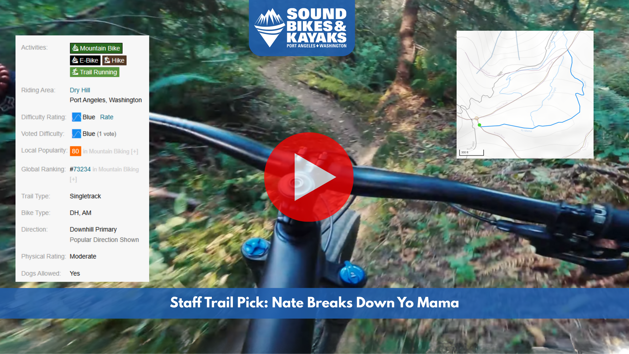 Staff Trail Pick: Yo Mama | Dry Hill | Port Angeles, WA