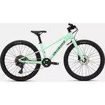 Specialized Riprock 24